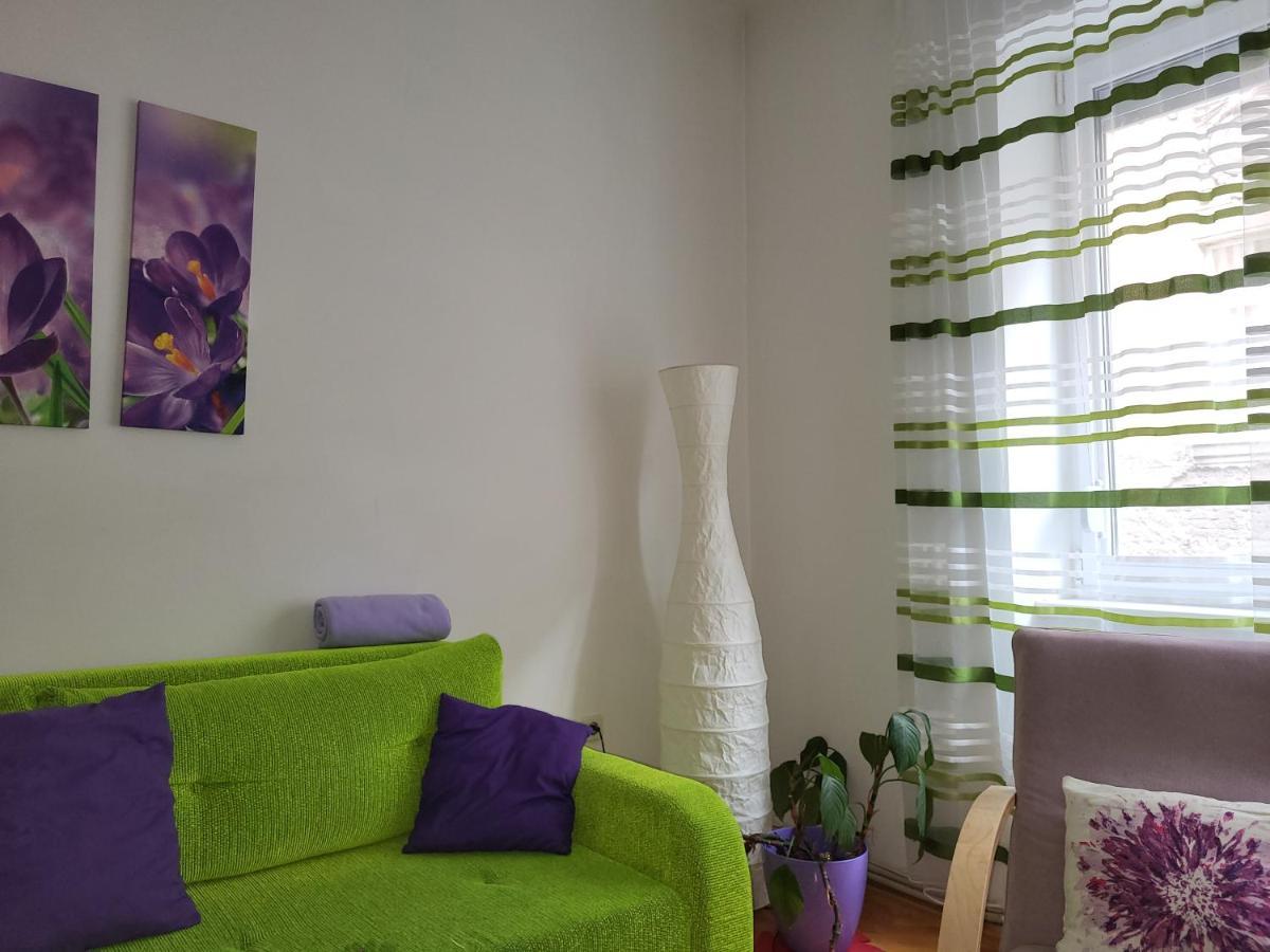 Grand Apartman San, Free Parking Σαράγεβο Εξωτερικό φωτογραφία
